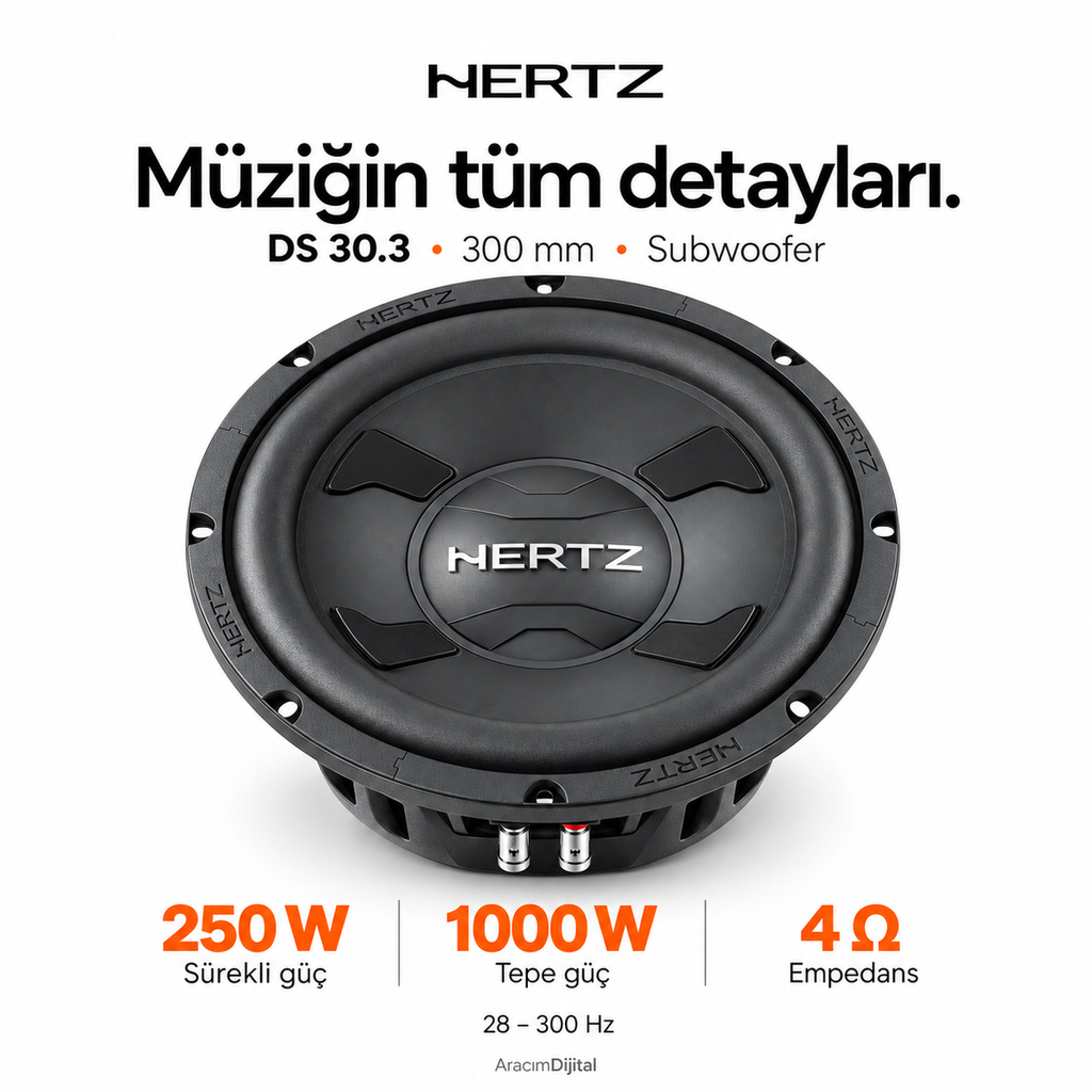 Hertz DS 30.3 Subwoofer